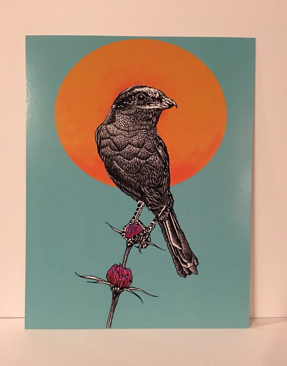 Pie Grièche à Longue Oiseau Art Printnaturesquelettevautourdésertterrefleursoleilarbrecadeaucrâneplantemacabrehorreurmusiqueaminourrit