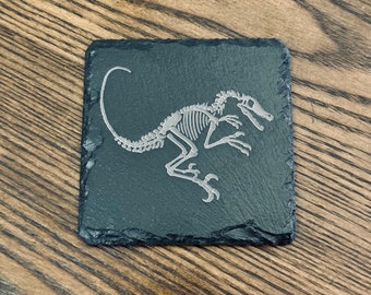 Raptor bones slate coasters