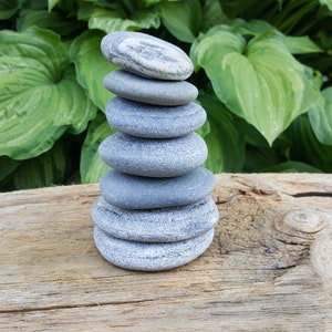 Può includere: Una pila di sette pietre grigie lisce impilate l'una sull'altra. Le pietre sono di forma ovale e di dimensioni leggermente diverse. Lo sfondo presenta un rigoglioso fogliame verde e un pezzo di legno stagionato.