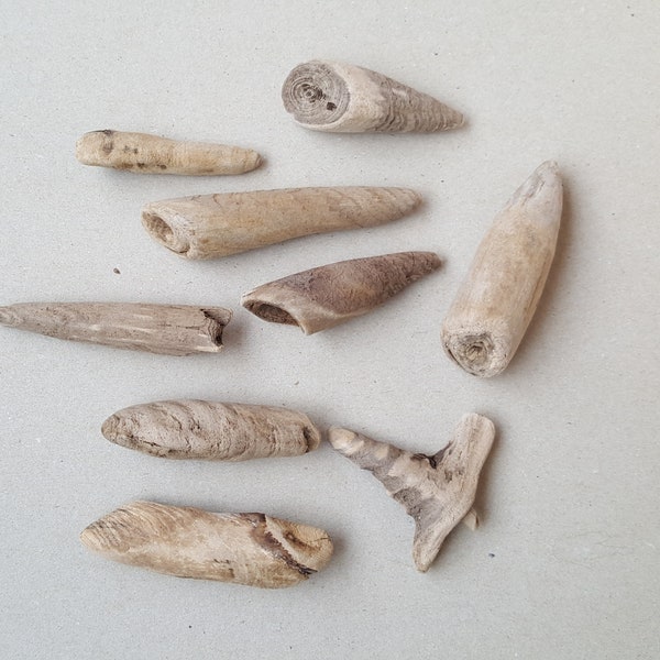 Driftwood for Sale Etsy