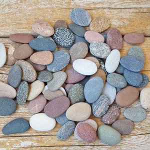 Round Sea Stones -Flat Stones 70 pcs - Medium Small Baltic Beach Stones - Beach Pebbles-Oval Shaped Beach Rocks