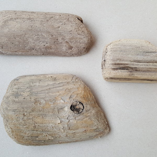 Driftwood for Sale Etsy