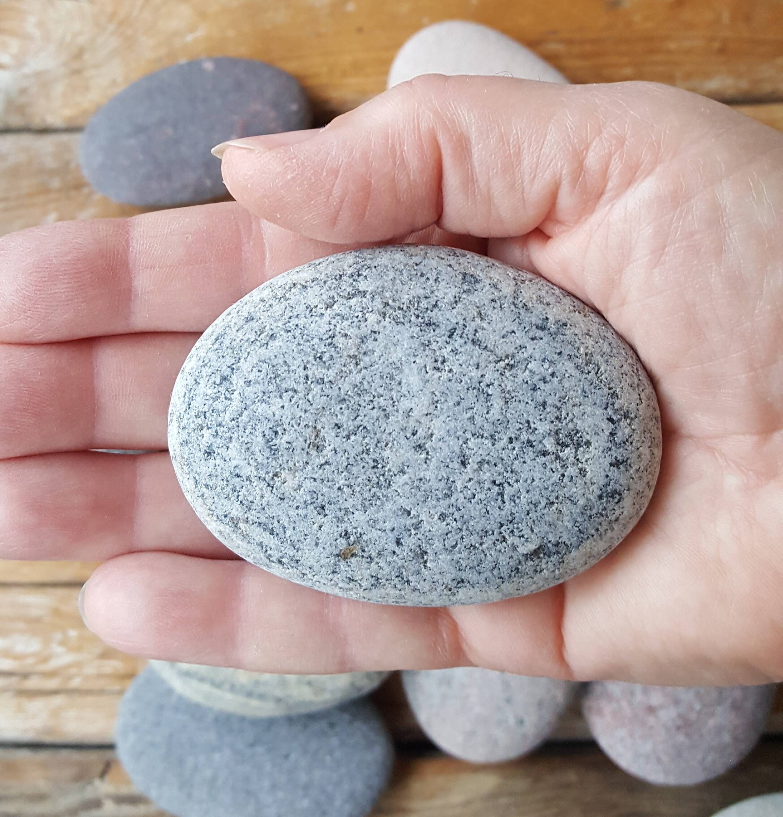 22 Large Beach Rocks flat Sea Stones wishing Stones Rocks for Painting  mandala Stones stones for Crafts 