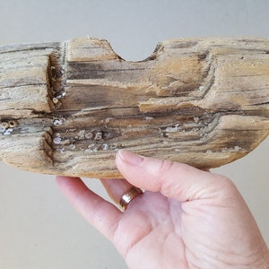 Driftwood Pieces Beach Finds Craft Wood Natural Driftwood For Sale-7.4810.62Large Driftwood Pieces image 6