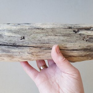 Driftwood Pieces Beach Finds Craft Wood Natural Driftwood For Sale-7.4810.62Large Driftwood Pieces image 4