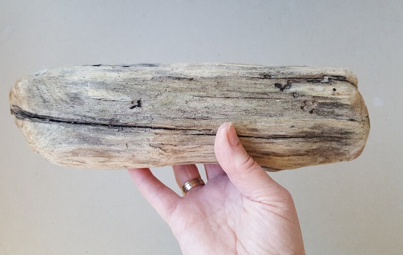 Driftwood Pieces Beach Finds Craft Wood Natural Driftwood For Sale-7.4810.62Large Driftwood Pieces image 4