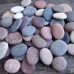 Round Sea Stones -Flat Stones 70 pcs - Medium Small Baltic Beach Stones - Beach Pebbles -Sea Rocks