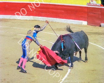 3 5x7 Photos, Bullfighting Tijuana Mexico, Bullfighter, Bullfighting in Spain Bullfighter Poster, Spain, Matador, Mexico