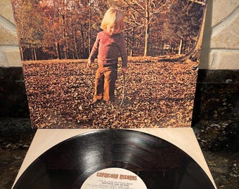 Allman Brothers Band "Brothers & Sisters" - Ramblin Man - Vinyl Record LP Near Mint Condition - A Classic - Free Shipping!
