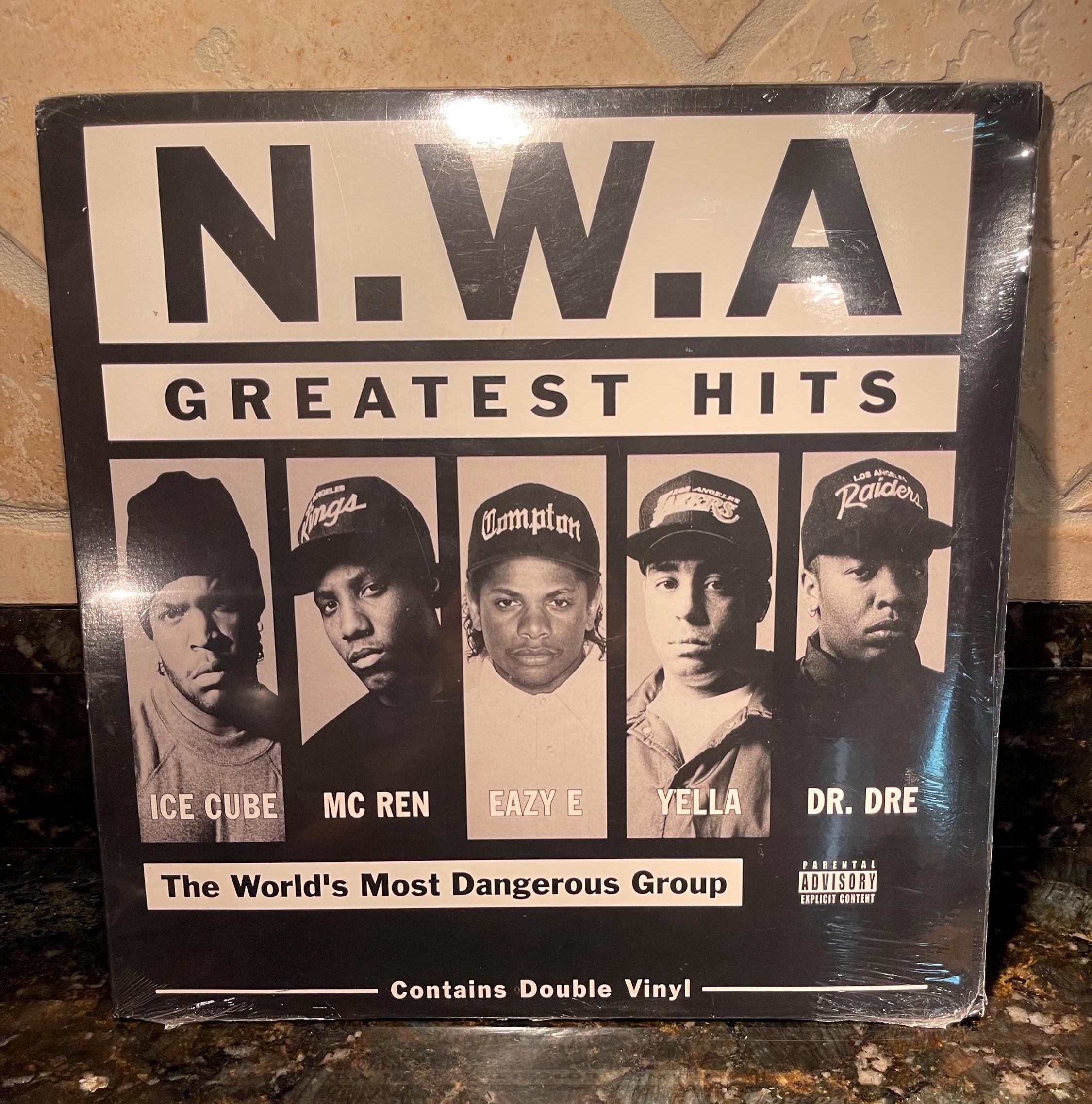 Ice Cube Vinyl Lp - Etsy