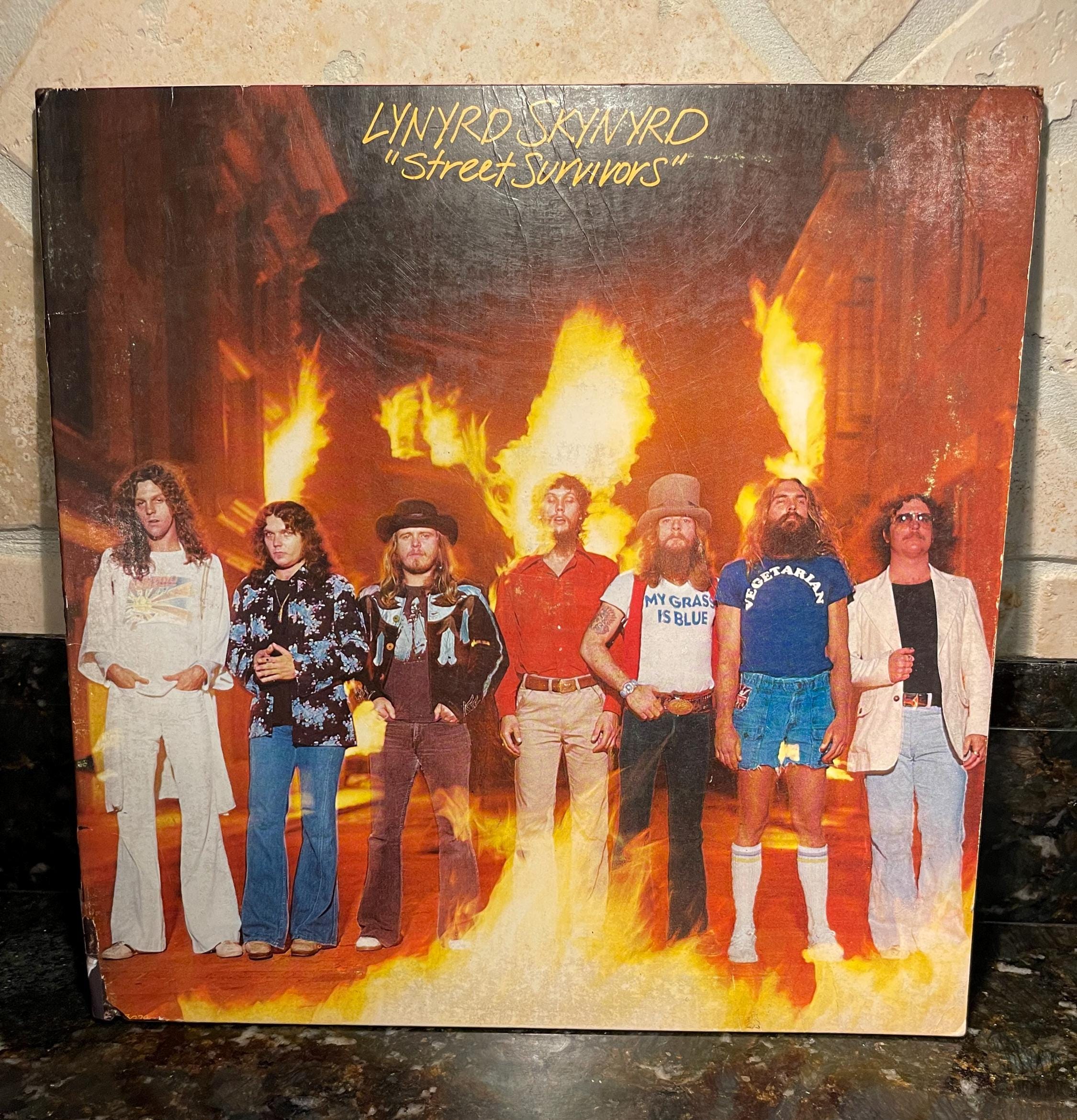 Lynyrd Skynyrd Street Survivor Album - Etsy