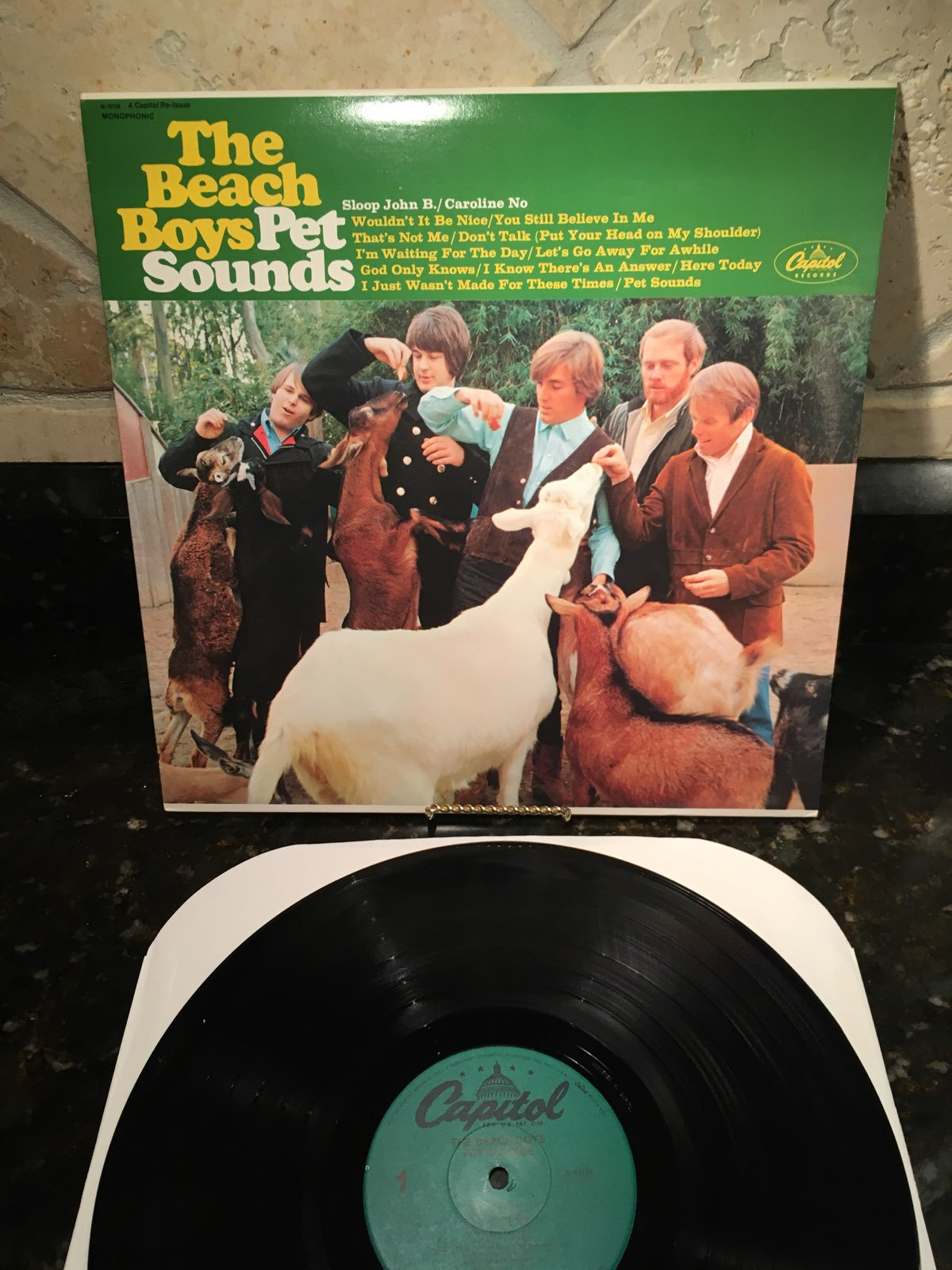 The Beach Boys 