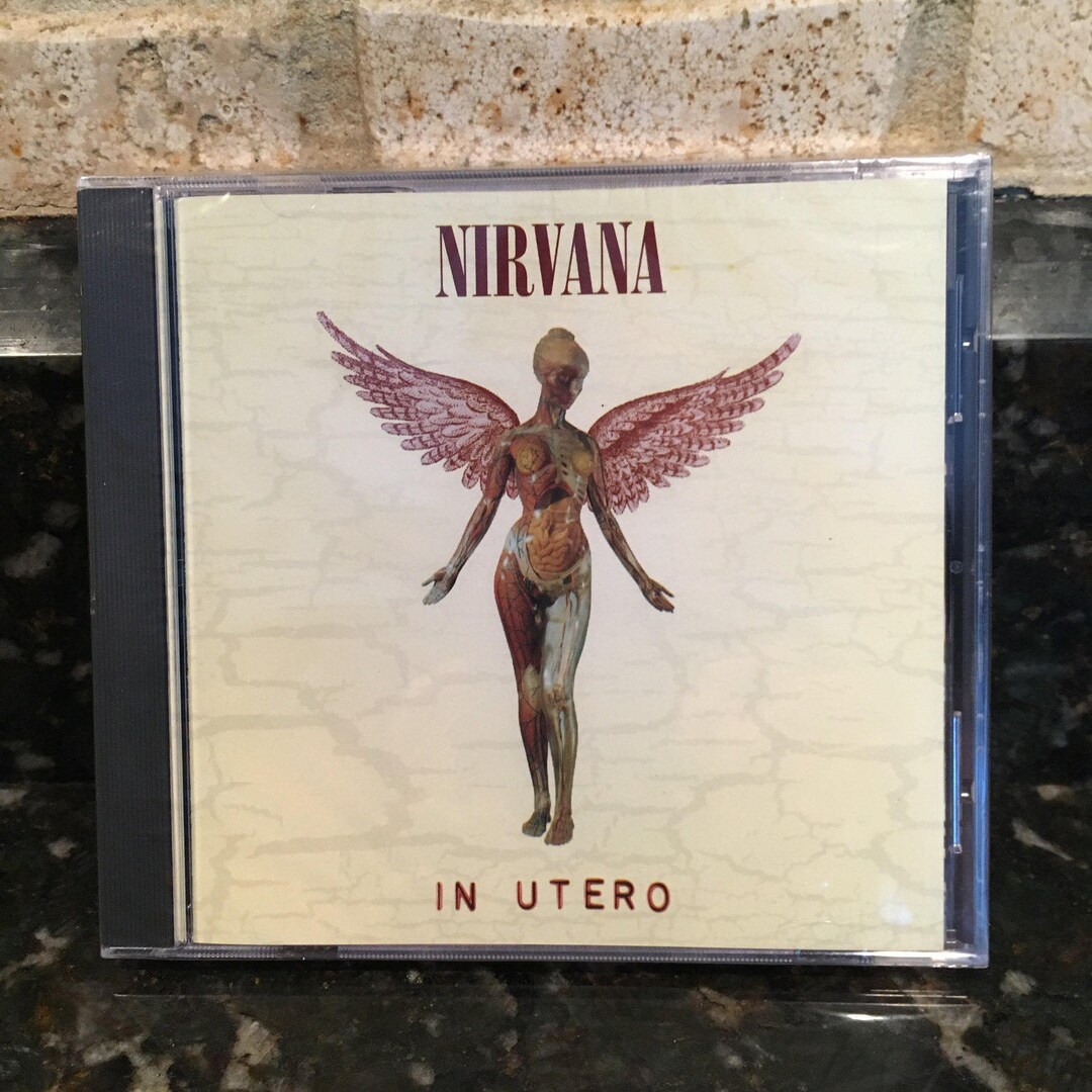 Vintage Nirvana T-Shirt In Utero Tour Angel 1993 M Anvil | eBay