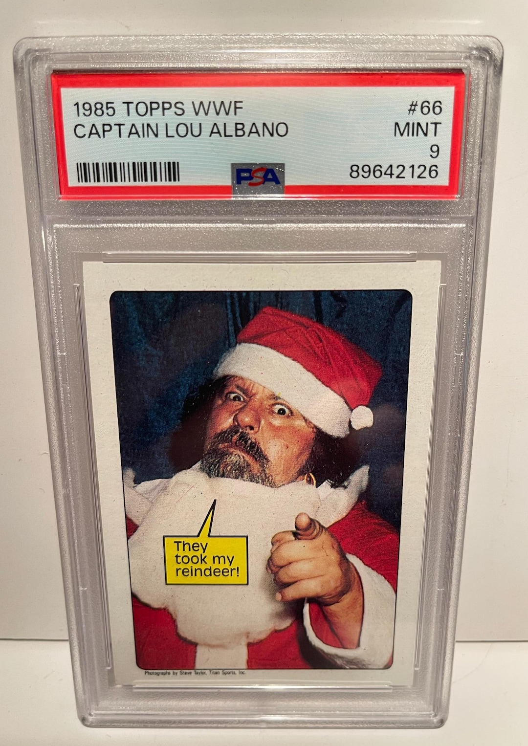 AMERICAN TRANSFERS カウガール 40s ビンテージ転写紙 1985 Topps WWF #66 