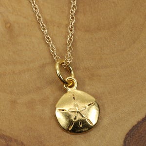 Könnte beinhalten: Eine goldfarbene Halskette mit einem Sanddollar-Anhänger. Der Anhänger, mit einem Sternmuster, hängt an einer feinen Goldkette. Die Halskette wird vor einem warmen Holzgrund präsentiert, um die Details hervorzuheben.