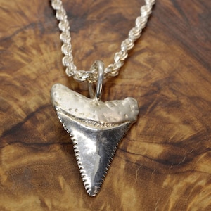 Op de afbeelding: Een zilverkleurige hanger in de vorm van een haaientand, met een getextureerde wortel en een glad, puntig blad. De hanger hangt aan een zilverkleurige touwketting, die met een kleine, ronde metalen ring aan de tand is bevestigd.