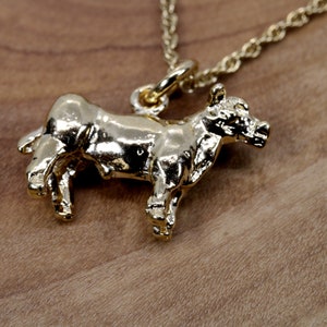 Show Steer Necklace for her, 14kt Gold Vermeil Show Steer Necklace,Gift for daughter, 4-H FFA gift for her, Cattle Jewelry Gift for Wife