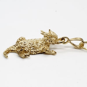 Gold gehörnte Kröte Halskette, Gold gehörnte Kröte Eidechse Halskette für gehörnte Kröte Liebhaber, Texas gehörnte Kröte Geschenk für sie, Texas gehörnte Frosch Geschenk
