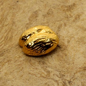 Alfiler o broche para él o ella en semillas de Coco de mer dorado, Lodoicea o coco marino o doble, la semilla más grande de Seychelles hecha en oro vermeil de 14 kt