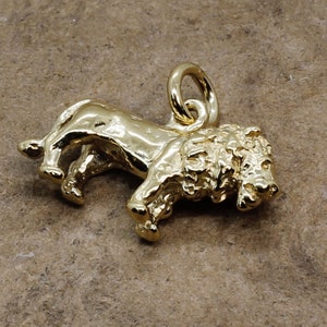 Lion Jewelry for Women,14kt Gold Vermeil Lion charm,Africa Big Cat lover charm for her,birthday gift for wife,animal lover gift for her