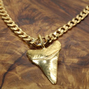 May include: A gold-toned necklace featuring a curb chain and a pendant shaped like a shark tooth. The pendant has a textured, metallic finish and is attached to the chain by a small circular jump ring. The entire piece is a uniform gold color.