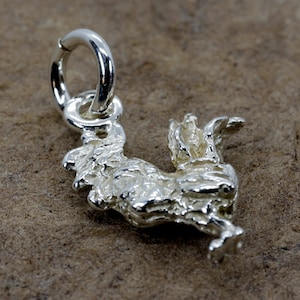 Silver Rooster Charm with tiny solid 925 Sterling Silver rooster chicken, Show chicken jewelry for her,bird 4-H FFA charm for little girl