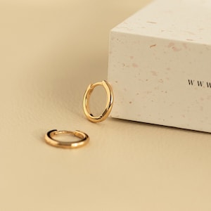 Small 14mm sterling silver and gold plated hoop earrings