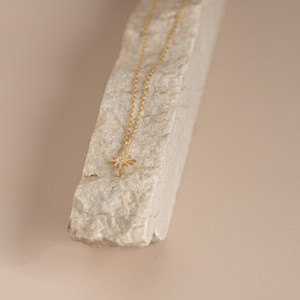 Puede incluir: Un collar de cadena dorada con un peque&ntilde;o colgante de estrella con una sola piedra transparente en el centro.