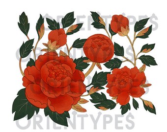 Asian Flower Design Series - PEONY -