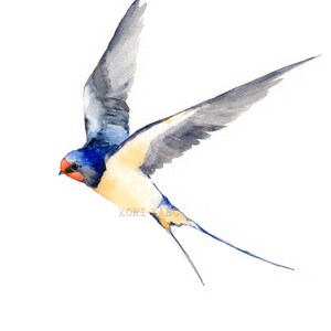 Hirondelle Aquarelle Aquarelle Oiseau Impression 5 X 7 Etsy Canada