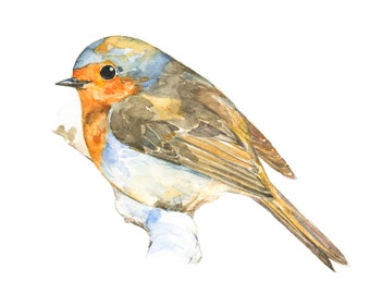 Robin watercolor painting - bird watercolor painting - 5x7 inch print - 0029