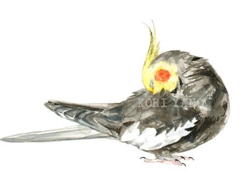 Cockatiel watercolor painting - bird watercolor painting - 5x7 inch print - 0038