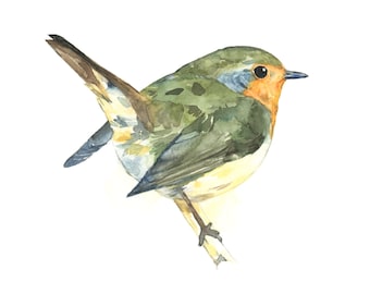 Robin watercolor painting - bird watercolor painting - 5x7 inch print - 0023