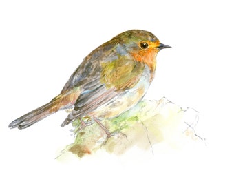 Robin watercolor painting - bird watercolor painting - 5x7 inch print - 0103