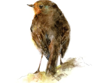 Robin watercolor painting - bird watercolor painting - 5x7 inch print - 0130