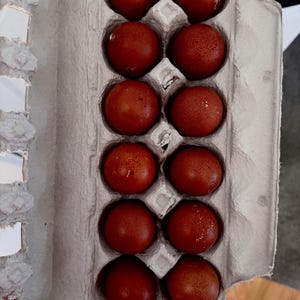 12 Dark Brown Farm Fresh Chicken Eggs – Organic, Pasture Raised – Unwashed Edible  Eggs - for eating only.