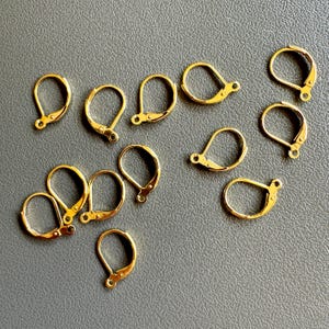May include: A collection of 12 gold-toned earring hooks, perfect for jewelry making projects.