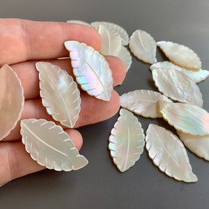 以下が含まれることがあります： 白い真珠貝の葉の形をした装飾品のコレクション。葉はわずかに虹色の光沢があり、繊細な線で彫刻されています。