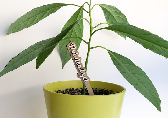 Laser Cut File SVG Digital File Funny Plant Stake Spring Garden