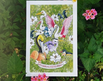 Louisiana Wetland Birds 4x6 postcard