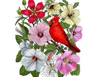 Cardinal + Native Hibiscus 8x10 Art Print Archival Paper