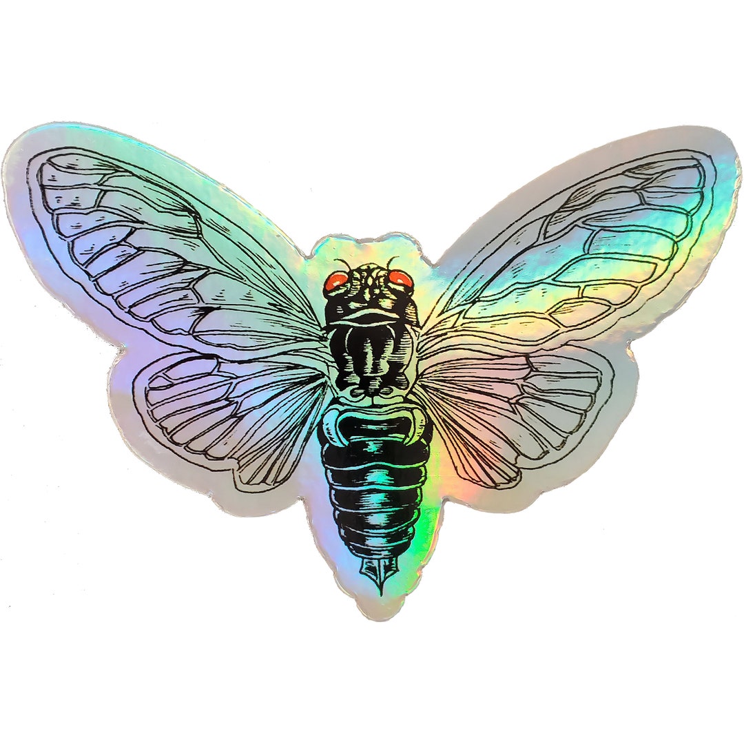 Holographic Cicada Sticker - Etsy
