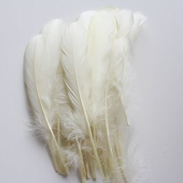 Loose Feathers - Etsy