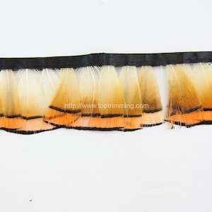 Vintage feather trim black orange with black satin binding 1 1/2 inches wide by the yard unique feather ribbon feather trim feather textile