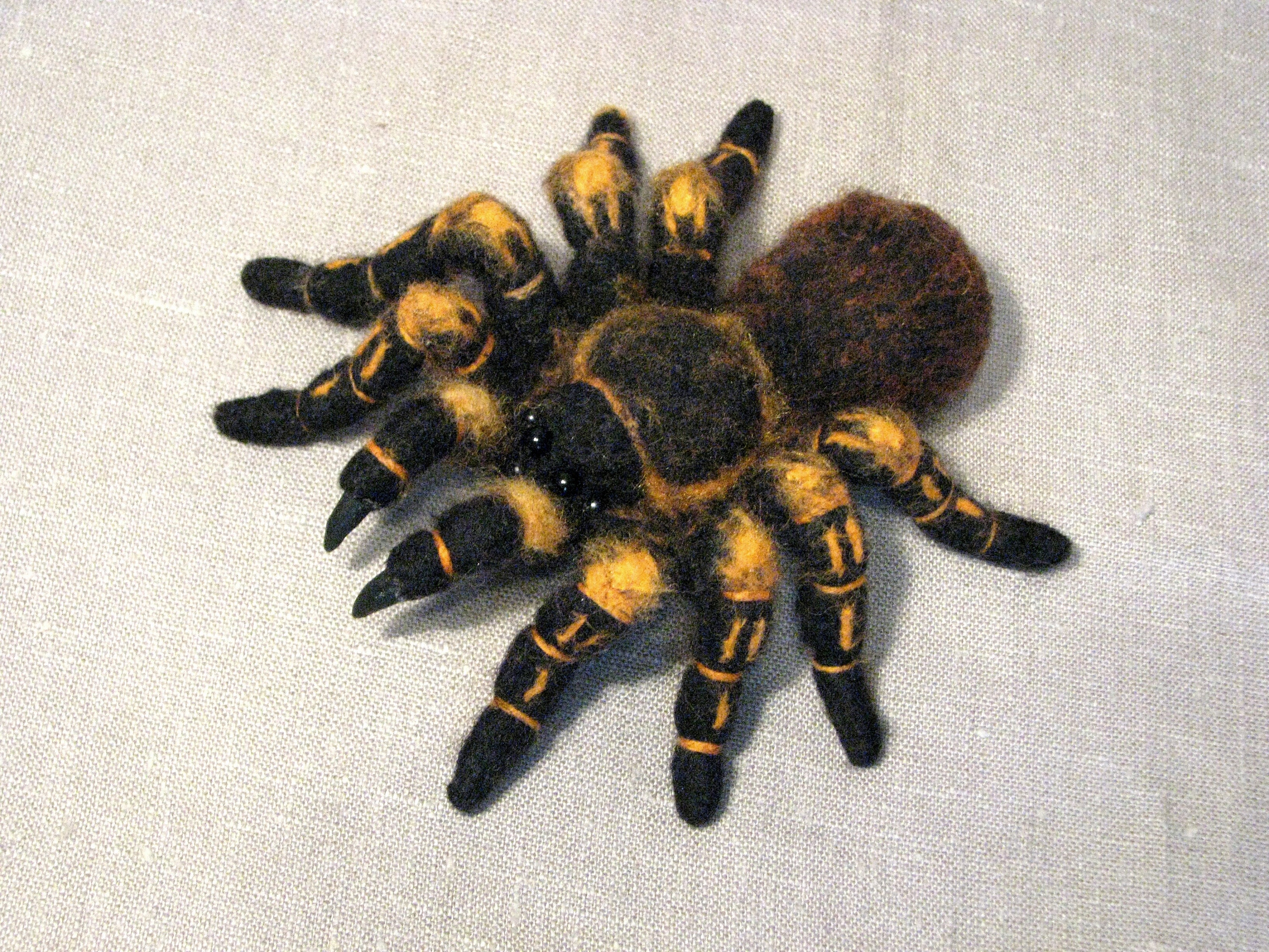 クモ タランチュラ 実物大 動物 フェイク剥製 ナチュラル ホラー