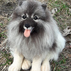 Puede incluir: Un perro gris y blanco de pelo largo con la lengua rosa que sobresale, sentado en un lecho de hierba marrón.