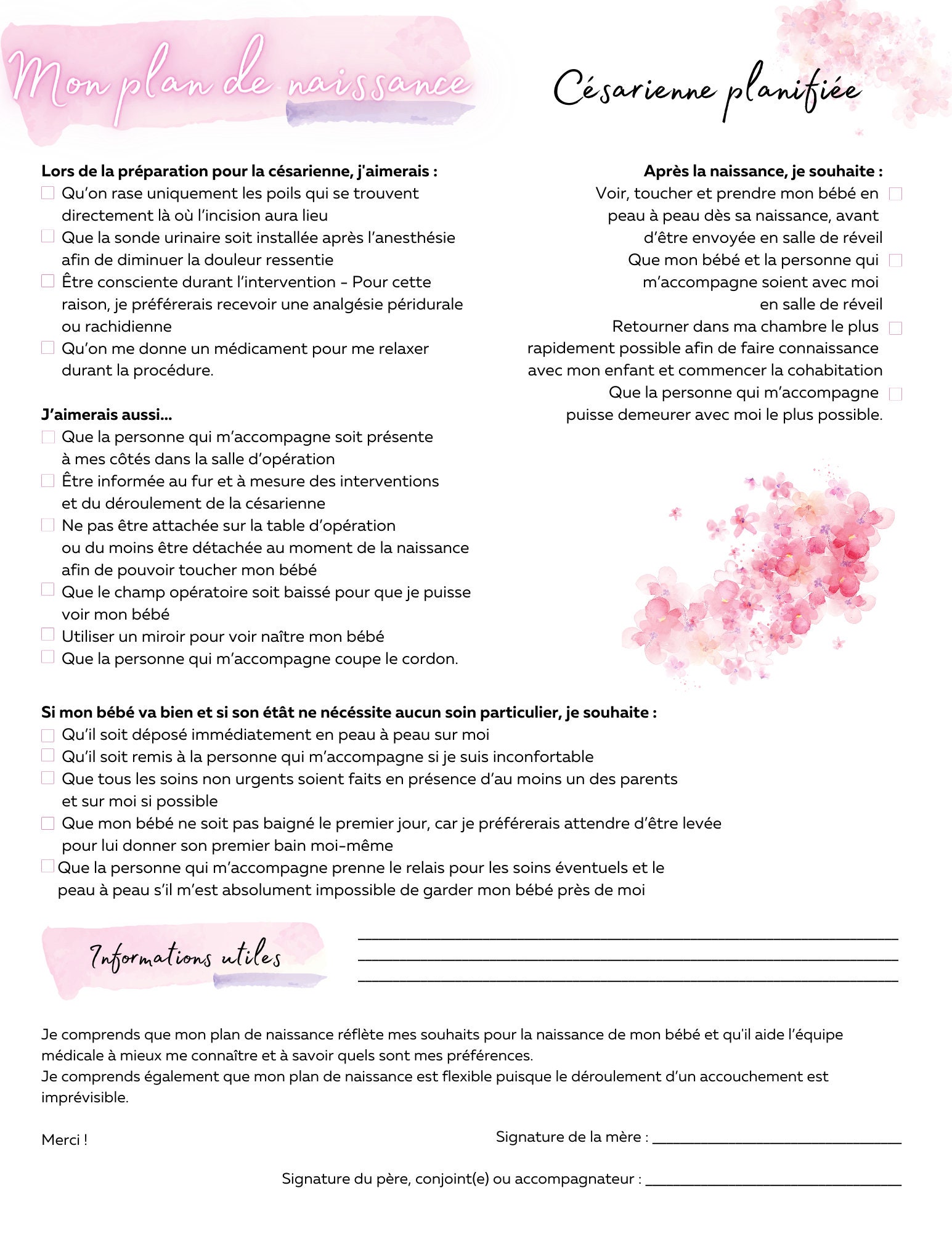 Plan De Naissance Français PDF Pour Impression 