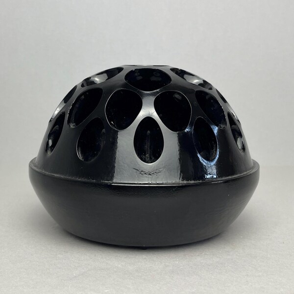 Niezwykle rzadka duża żaba kwiatowa Davidsona o połyskującej czerni, rozmiar 5,5