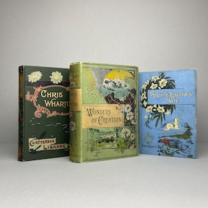 Sammlung von 3 frühen Edwardian Antique Büchern