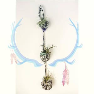 Crochet PATTERN Tiered Air Plant Hanger Pattern Crochet Pattern Air Plant Home Crochet Tiered Basket image 9